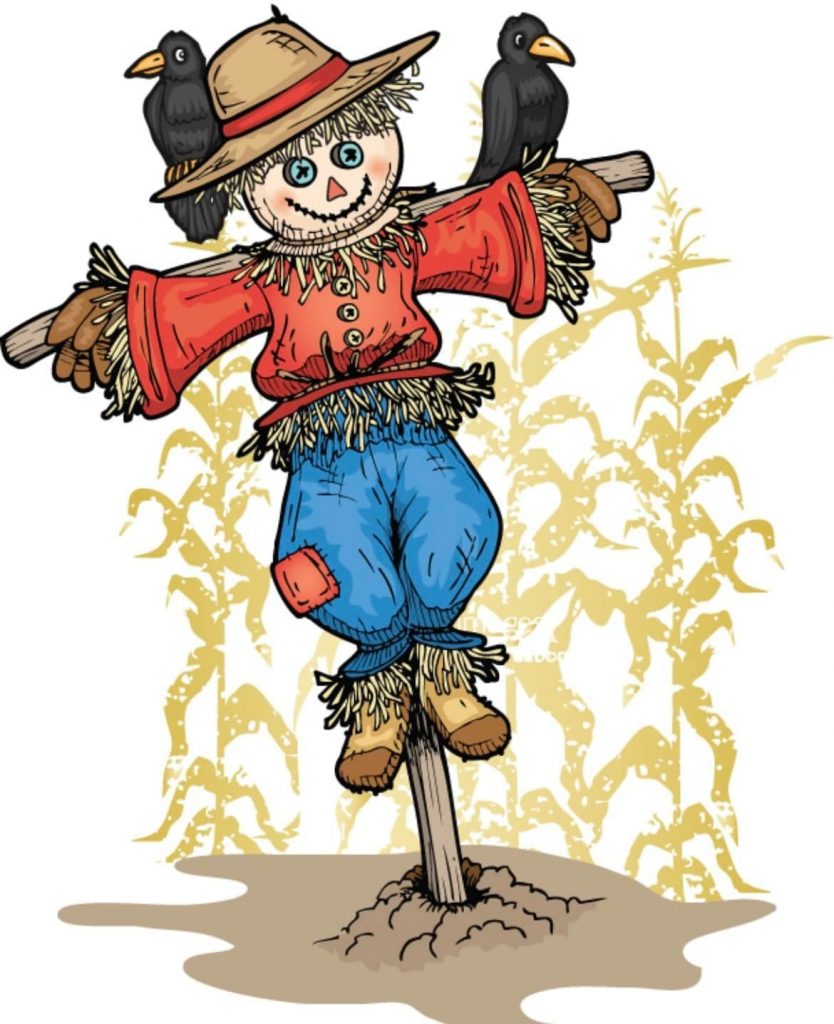 image 63 Festival 2025