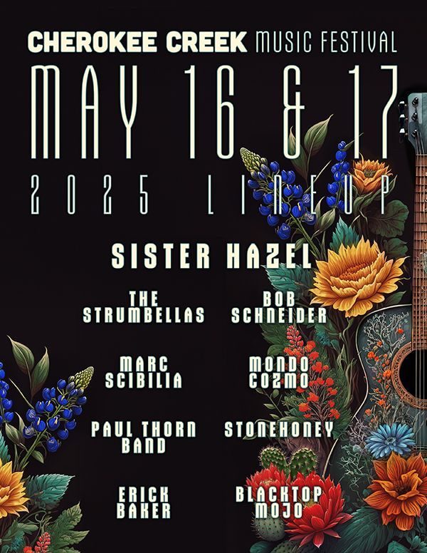 image 82 Festival 2025