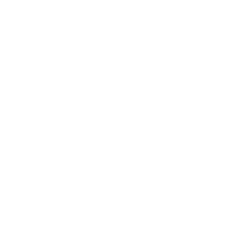 image 83 Festival 2025