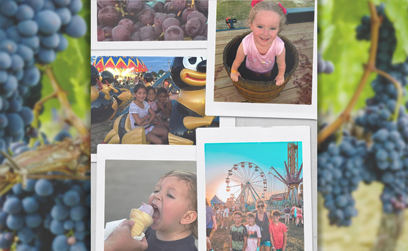 image 96 Festival 2025